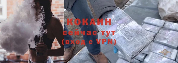 шишки Арсеньев