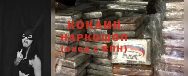 шишки Арсеньев