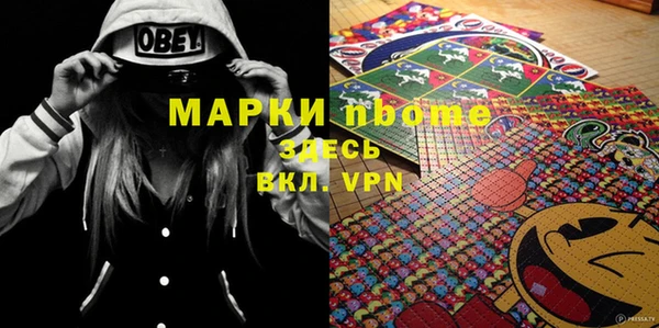 шишки Арсеньев