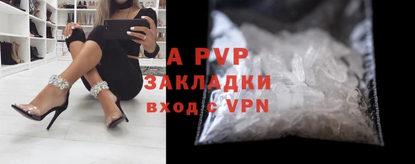 шишки Арсеньев