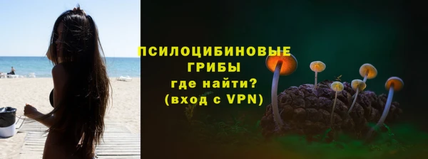 дмт Армянск