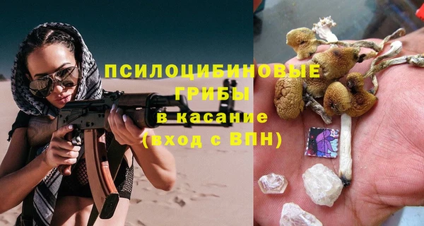 шишки Арсеньев
