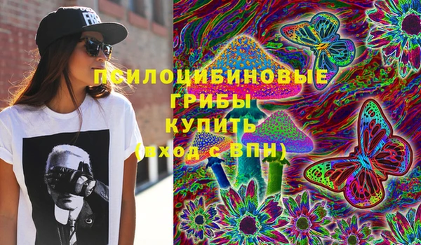 шишки Аркадак