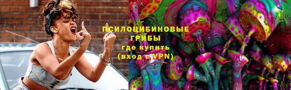шишки Арсеньев