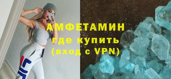 шишки Аркадак