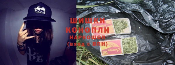 шишки Аркадак